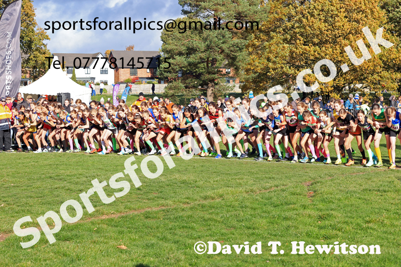 Girls Under-13s 2025 National Cross Country Relays, Berry Hill Park, Mansfield. Photo: David T. Hewitson/Sports for All Pics